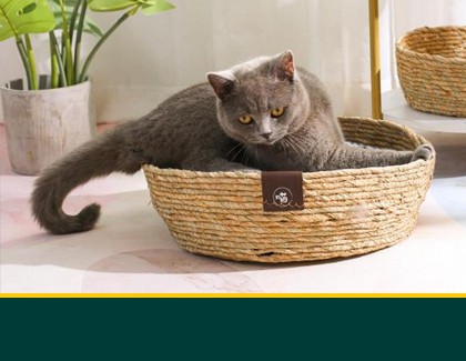 PET PRODUCTS
